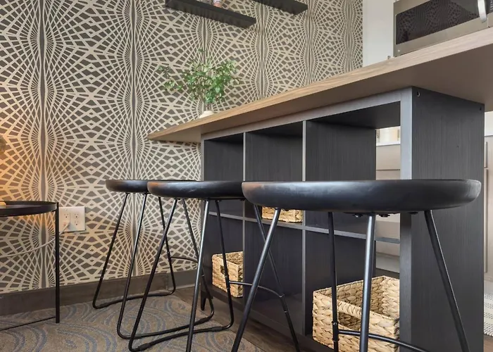 Apartment Stylish By Mall Of America