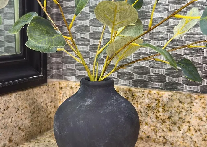 Apartment Stylish By Mall Of America Bloomington